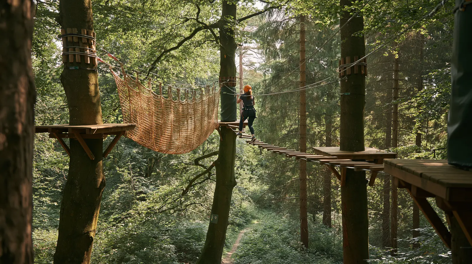 Seilbrücke und Kletternetz zwischen Buchen