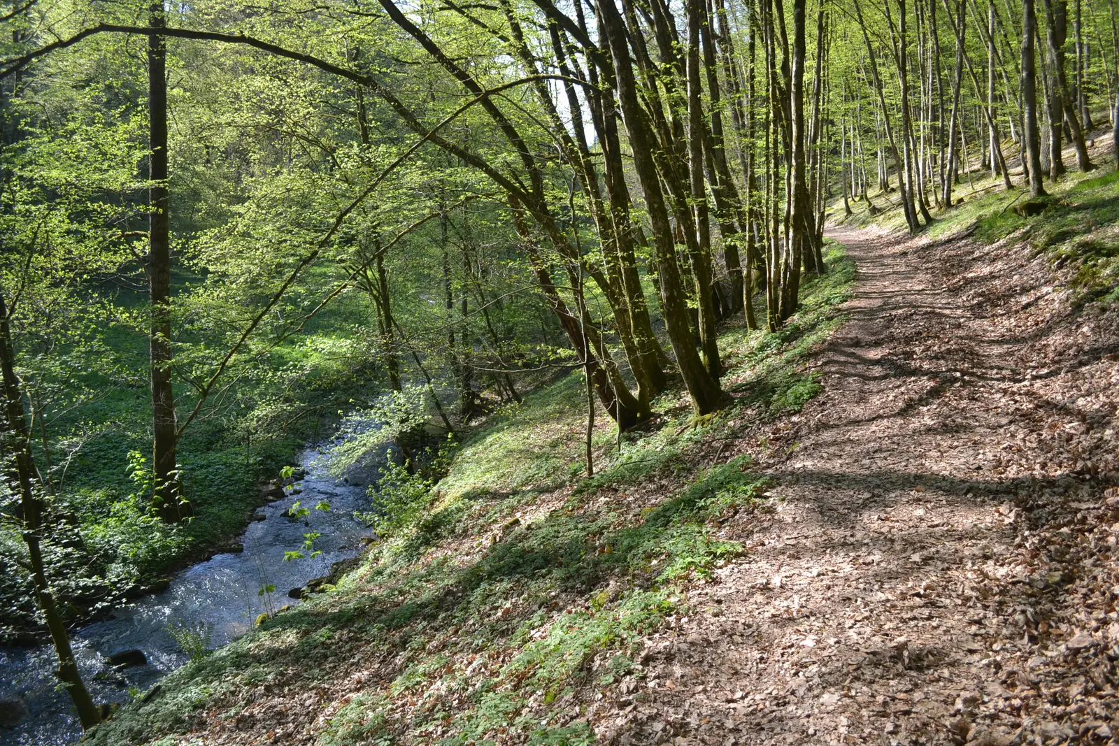 Naturpark Spessart Wandern Franziskushöhe
