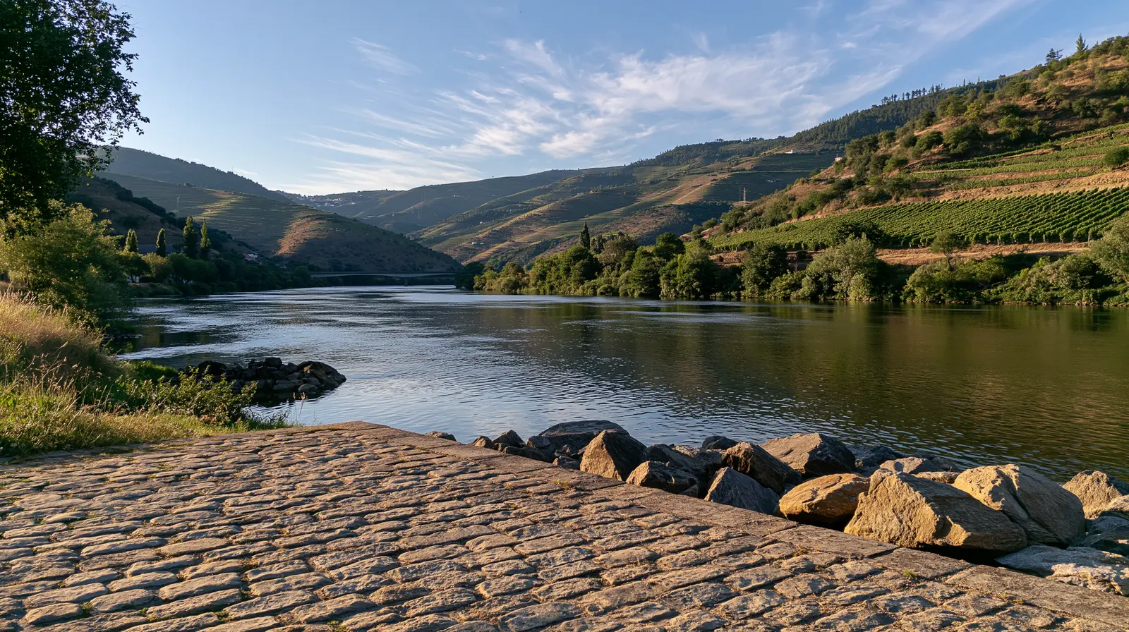 Flussmündung unterhalb von Weinbergen